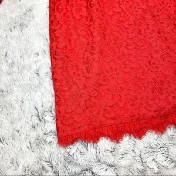 ✨NWT! Diane von Furstenberg Designer Red ZARITA Lace Sheath Dress - Picture 12 of 12